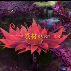 传奇地图素材：DD81