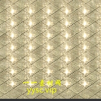 技能52